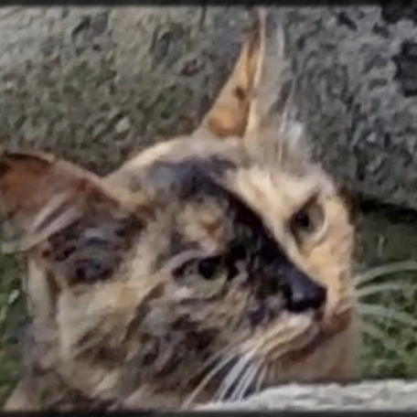 Andre2 (andromen.lens) Lens social identity (.lens handle) PFP