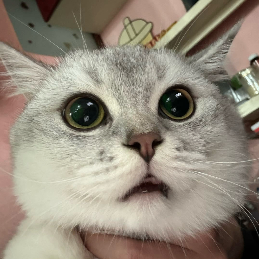 bbbbbt (bbbbbt.lens) Lens social identity (.lens handle) PFP