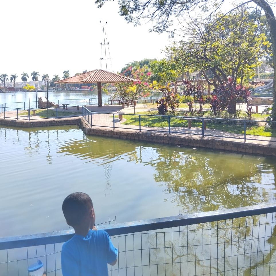 Criptomoedas (criptomoedas.lens) Lens social identity (.lens handle) PFP