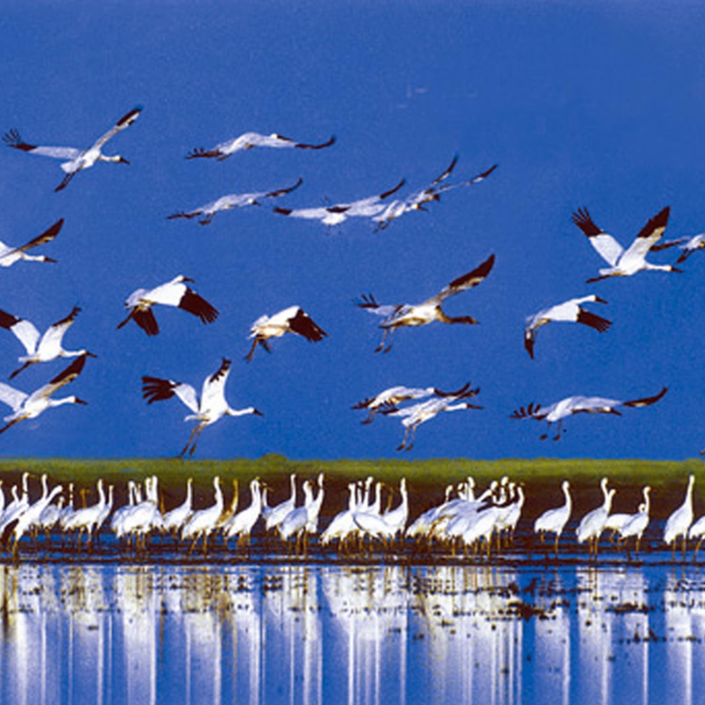 Barbara Malthus (hhhhhs.lens) Lens social identity (.lens handle) PFP