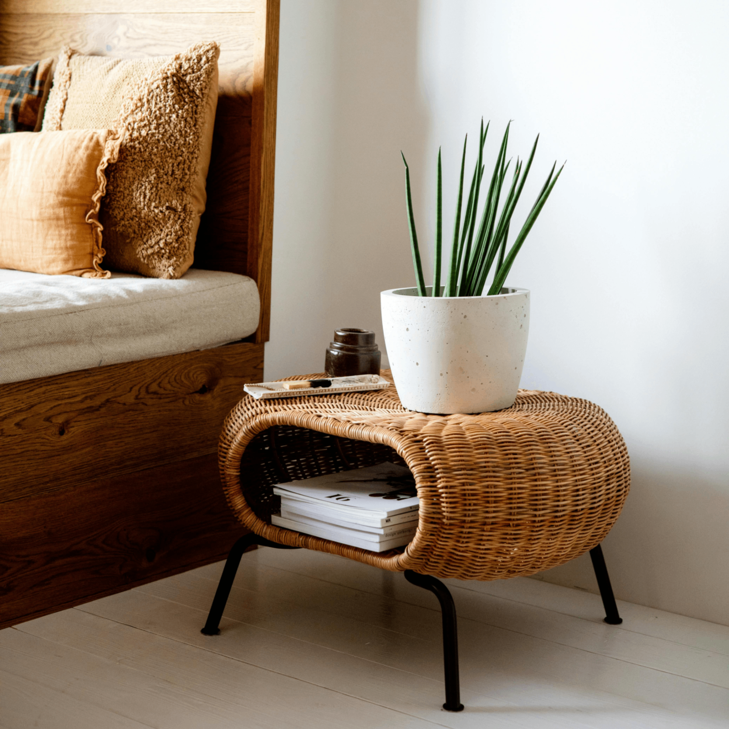 ptuso (ptuso.lens) Lens social identity (.lens handle) PFP