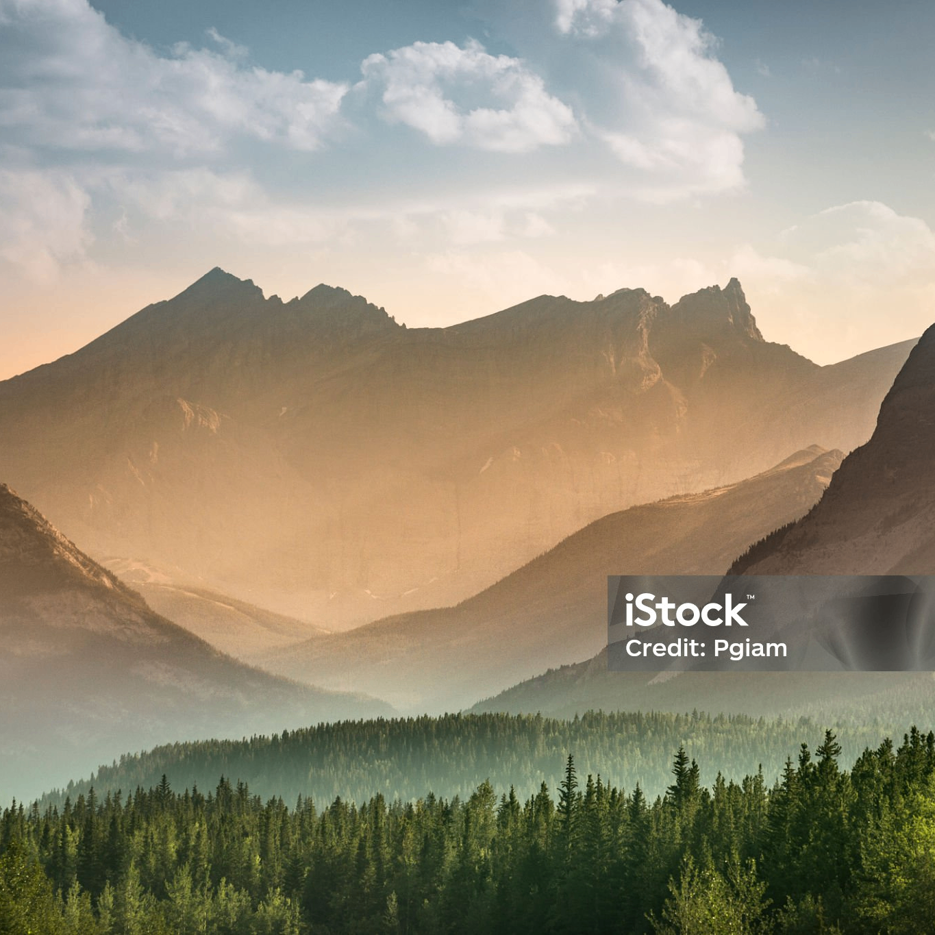 nziiii (naziii.lens) Lens social identity (.lens handle) PFP