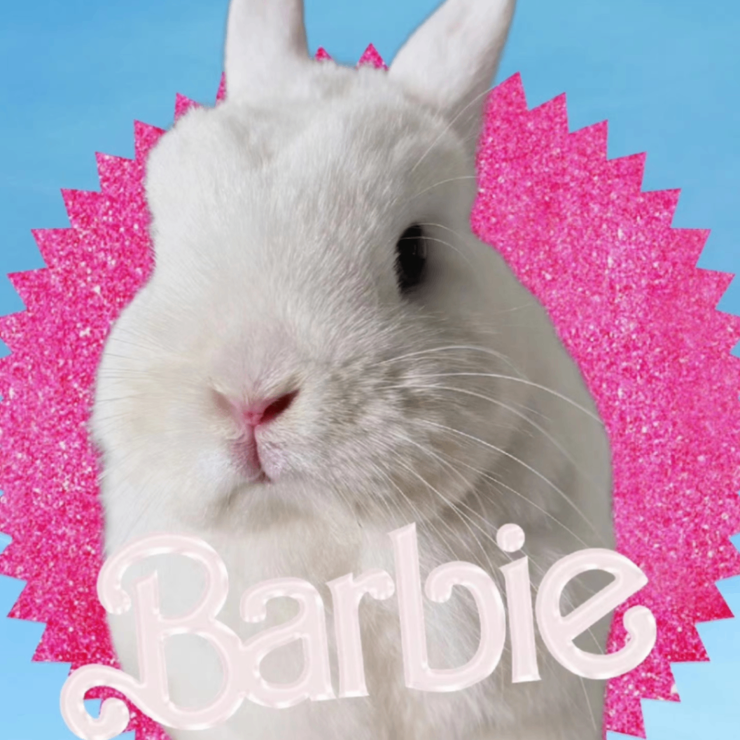 Bunny (rabbiiit.lens) Lens social identity (.lens handle) PFP