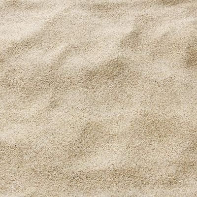 Economia (economia.lens) Lens social identity (.lens handle) PFP