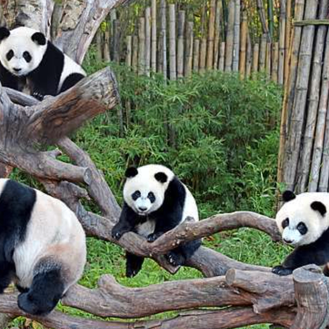 bnbhu88 (uuuuo.lens) Lens social identity (.lens handle) PFP