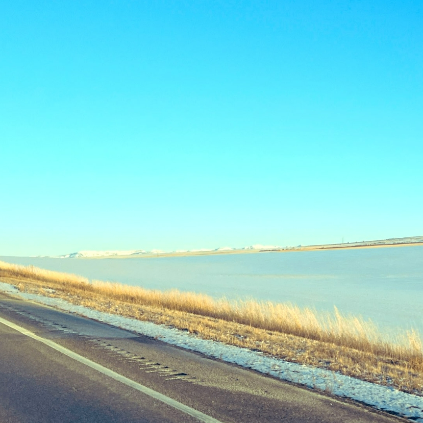 gfd4e3 (gfdtrg.lens) Lens social identity (.lens handle) PFP