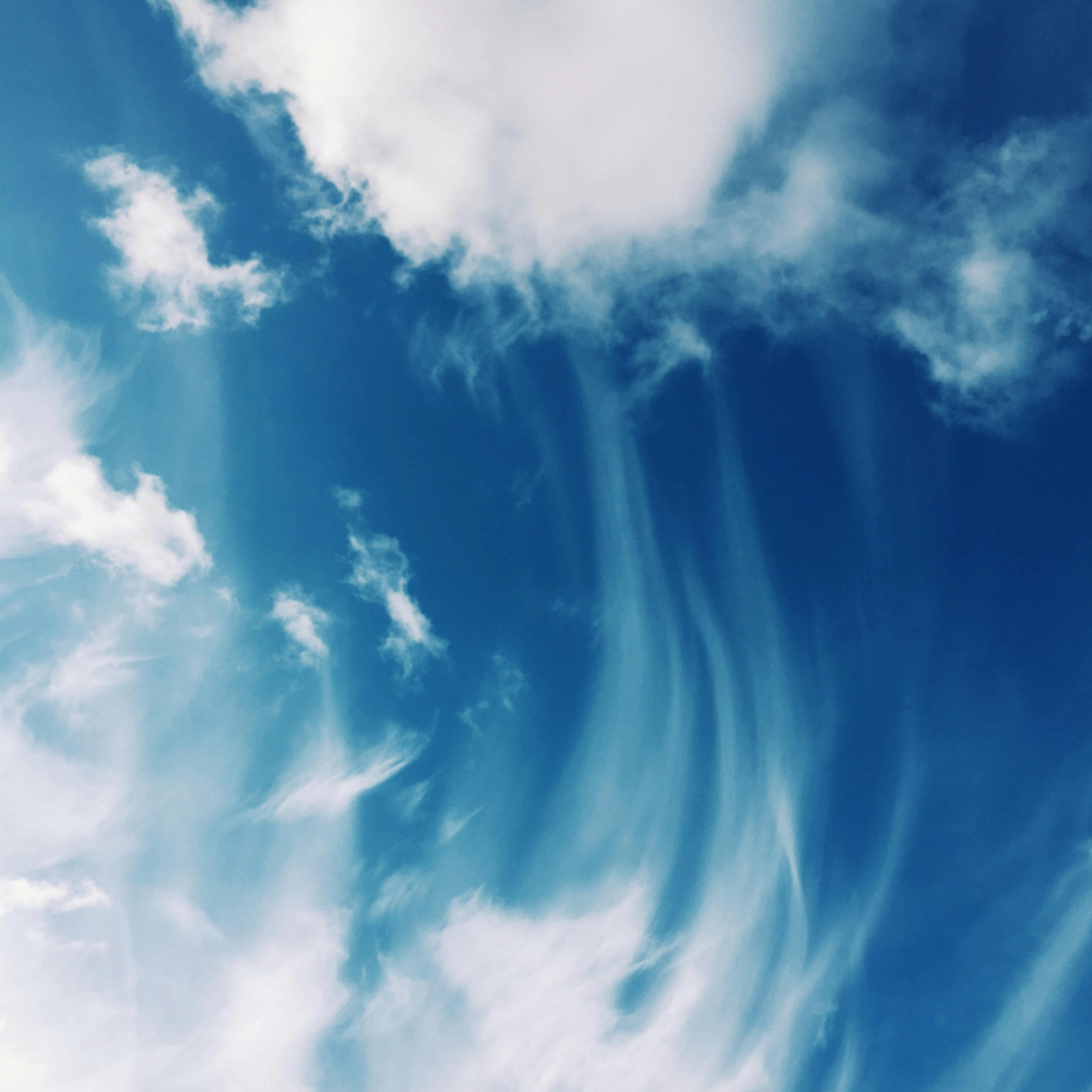 donalo (donalo.lens) Lens social identity (.lens handle) PFP