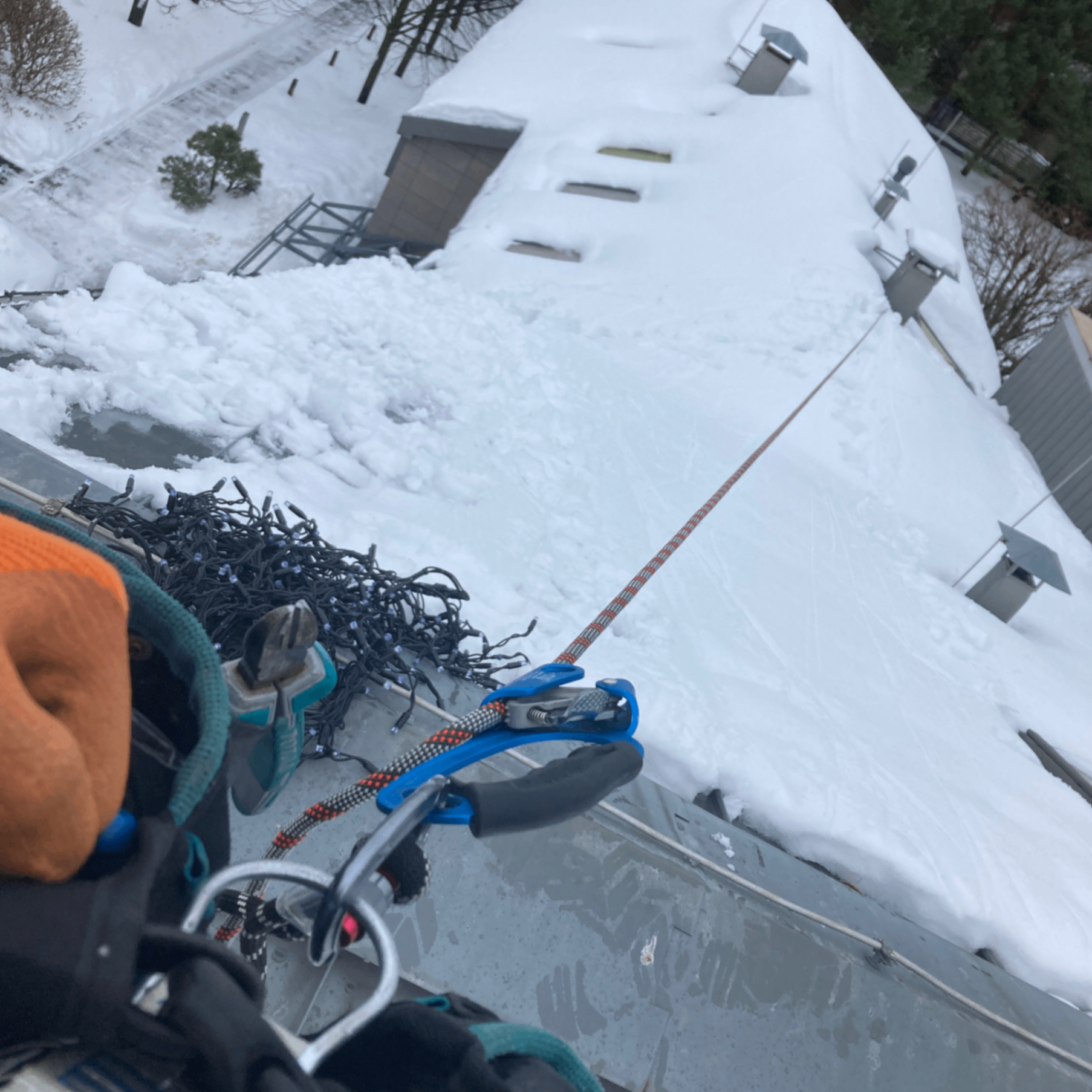 Petr (awinaw.lens) Lens social identity (.lens handle) PFP