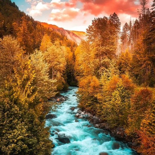 Emerx (bttok.lens) Lens social identity (.lens handle) PFP