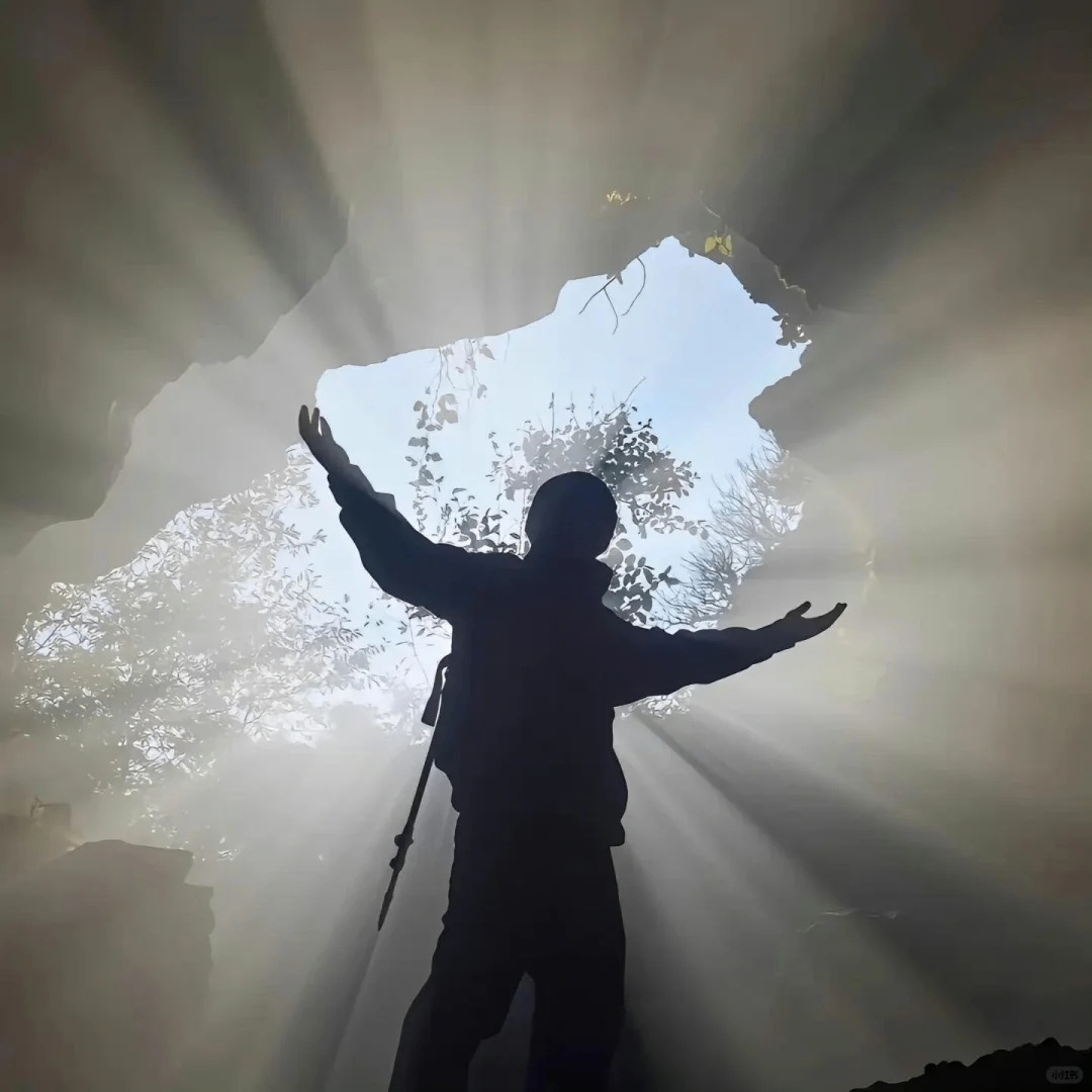 Sarah (jenniferjean.lens) Lens social identity (.lens handle) PFP