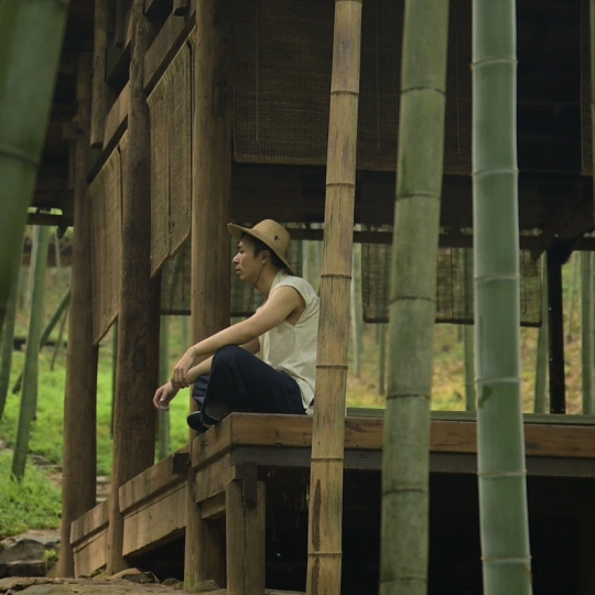 Tracy (trachy.lens) Lens social identity (.lens handle) PFP