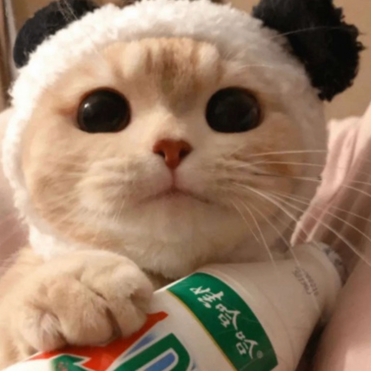 hvnbvbv (fwwwww.lens) Lens social identity (.lens handle) PFP