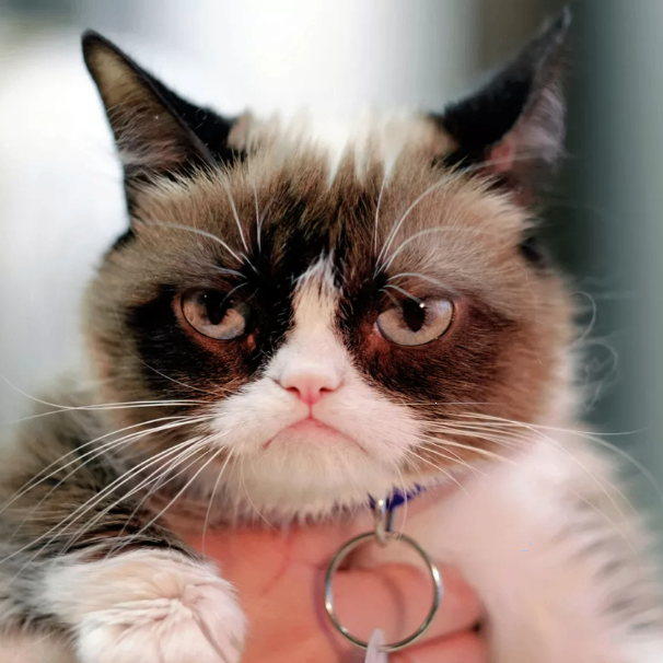 Roman3 (romansss.lens) Lens social identity (.lens handle) PFP