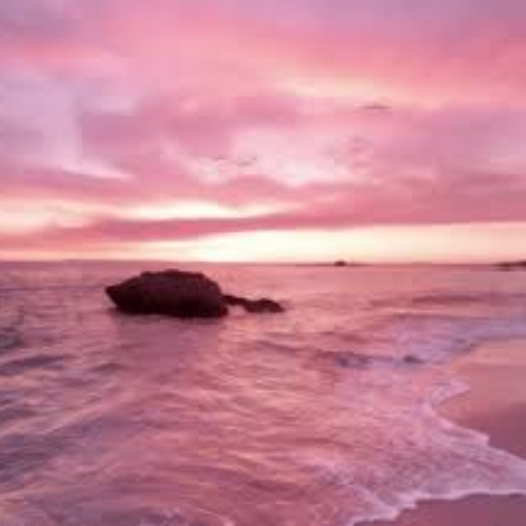 xcxcxzzxz (byyyy.lens) Lens social identity (.lens handle) PFP