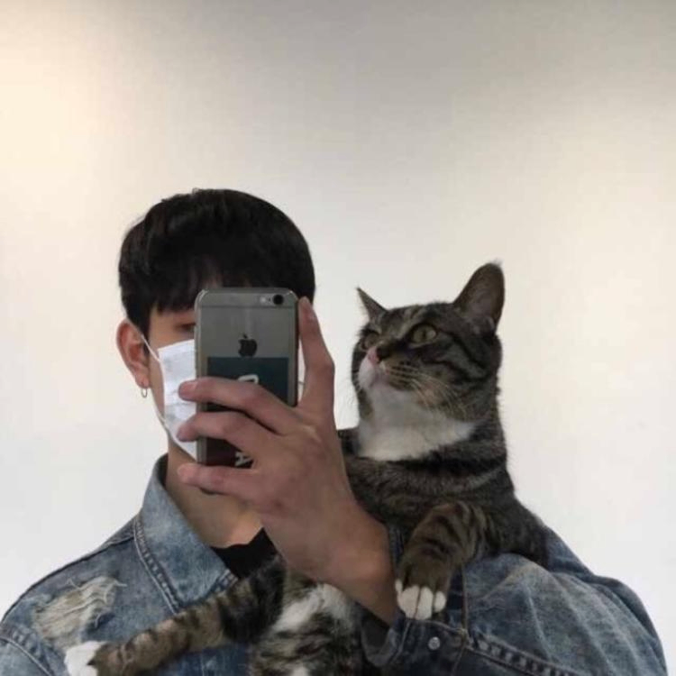 Jasmine (whhso.lens) Lens social identity (.lens handle) PFP