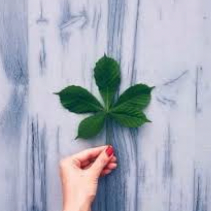 zxczxczxc (hddddd.lens) Lens social identity (.lens handle) PFP