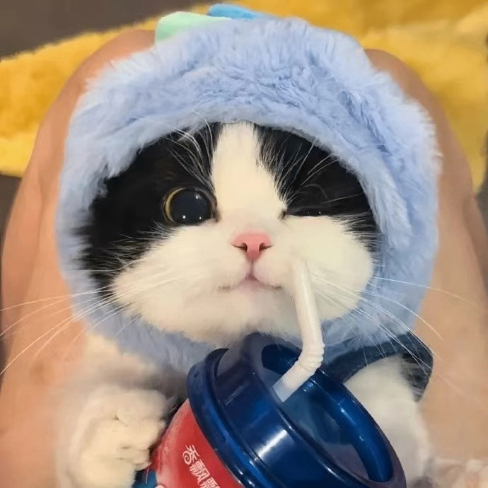 Ruby (gideon5.lens) Lens social identity (.lens handle) PFP