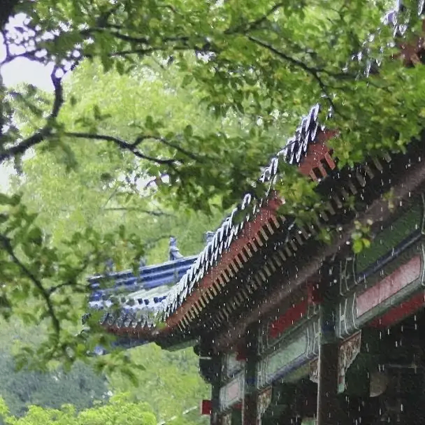 auuonwr (auuonwr.lens) Lens social identity (.lens handle) PFP