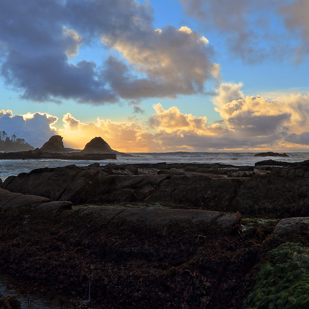 gooff (nuuuii.lens) Lens social identity (.lens handle) PFP