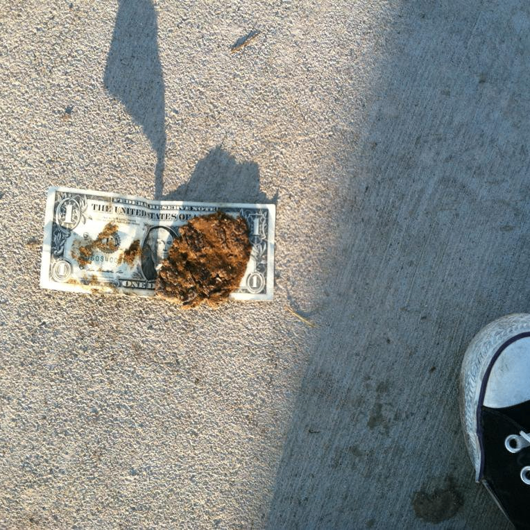 FiatisShit (insightful.lens) Lens social identity (.lens handle) PFP