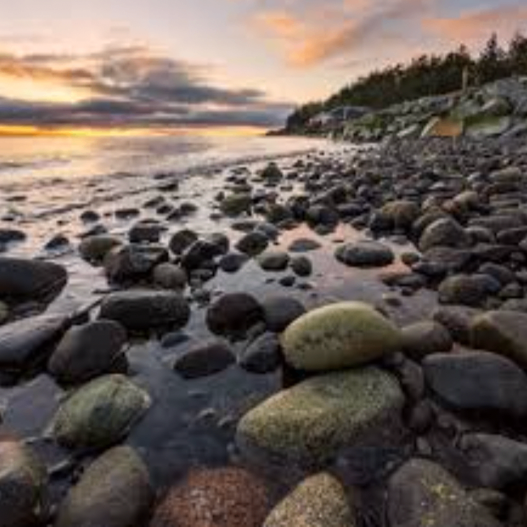 fxdfxcx (boooo.lens) Lens social identity (.lens handle) PFP