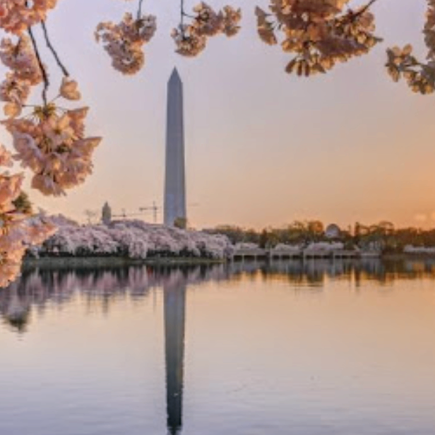 coco (vvbbvv.lens) Lens social identity (.lens handle) PFP