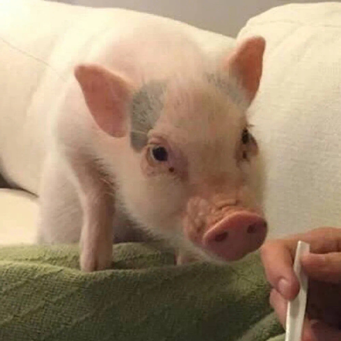 h (axelx.lens) Lens social identity (.lens handle) PFP