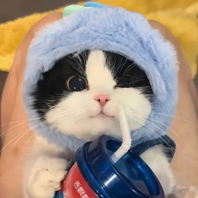 marioaa (marioaa.lens) Lens social identity (.lens handle) PFP