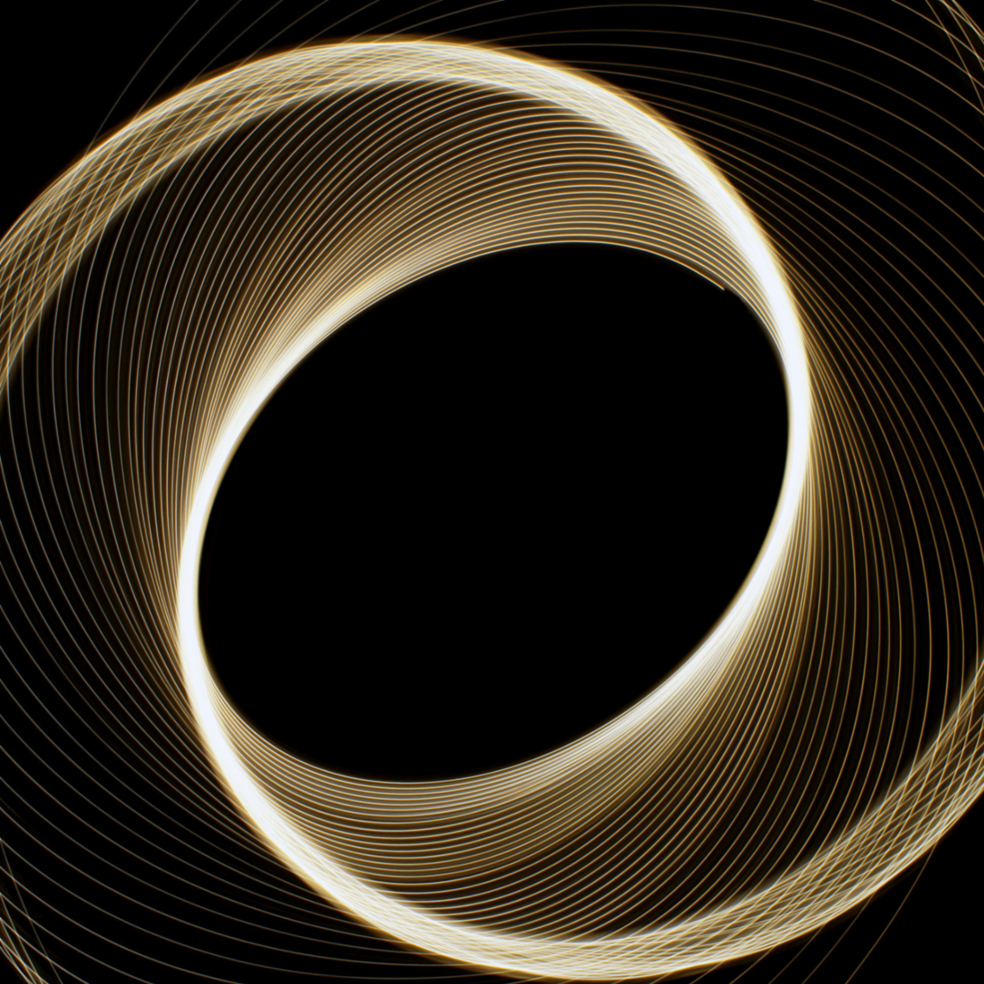 Wking (wking.lens) Lens social identity (.lens handle) PFP