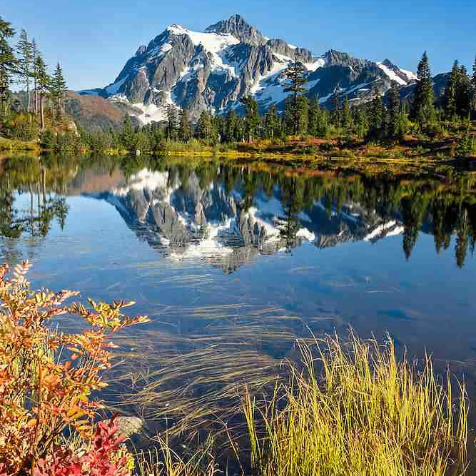 Dr. candy (biscake.lens) Lens social identity (.lens handle) PFP