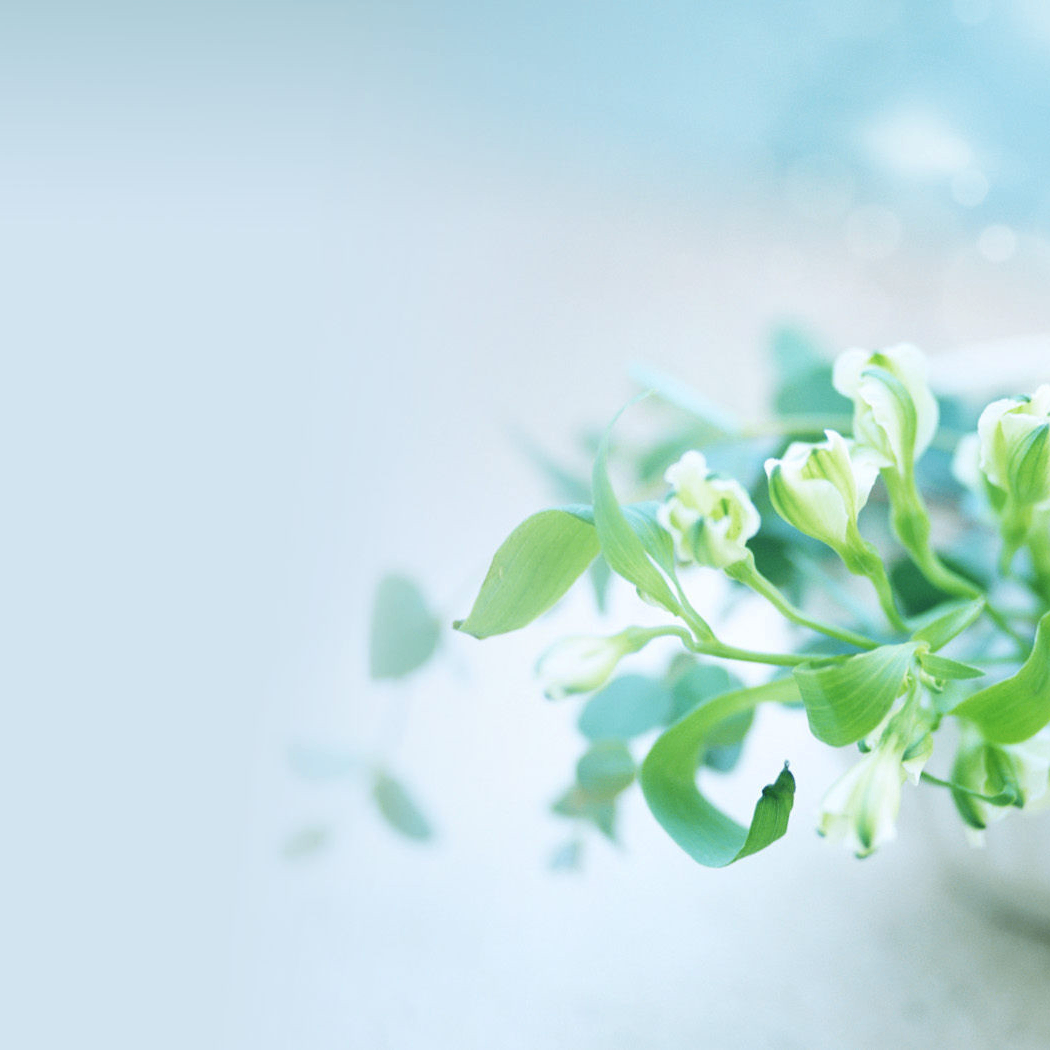 uyi (swank.lens) Lens social identity (.lens handle) PFP