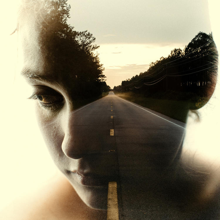 LionLuminary (whimsicalwanderer.lens) Lens social identity (.lens handle) PFP