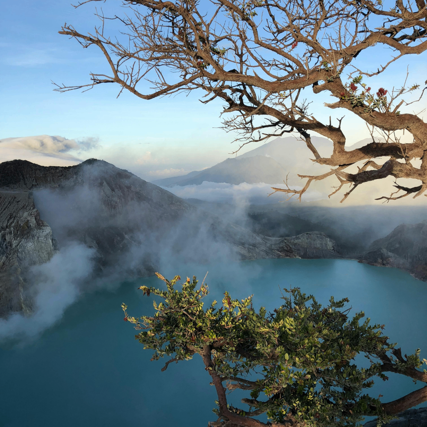 butterscotch (butterscotch.lens) Lens social identity (.lens handle) PFP