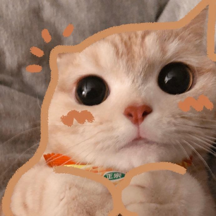 Letitia Hutt (fffffh.lens) Lens social identity (.lens handle) PFP