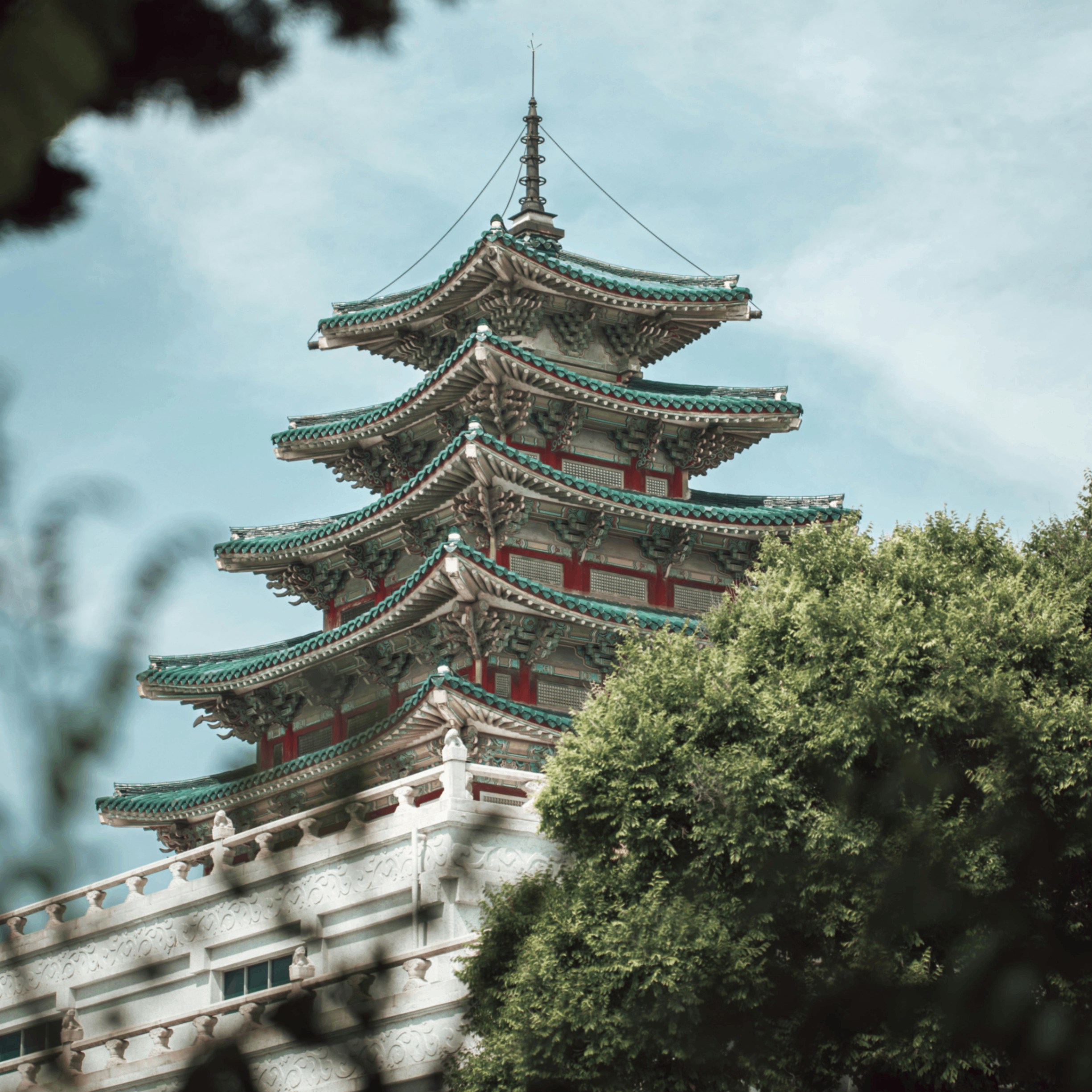 paoqu (paoqu.lens) Lens social identity (.lens handle) PFP