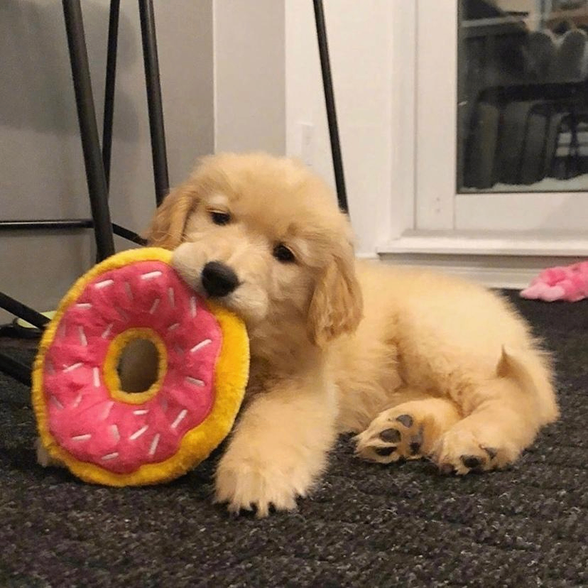 Reginald Mond (fffffq.lens) Lens social identity (.lens handle) PFP