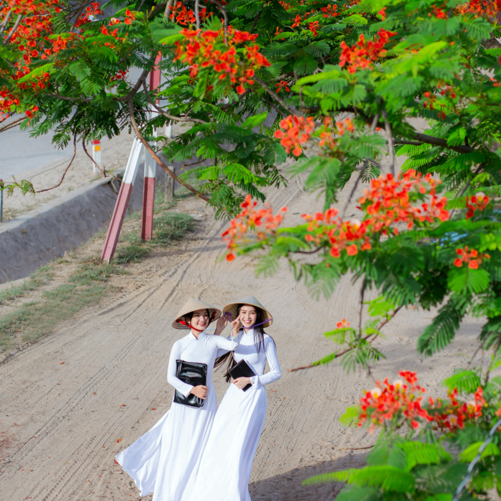 saina (saina.lens) Lens social identity (.lens handle) PFP