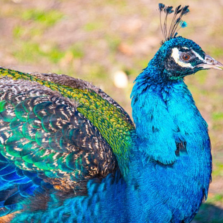 mnnnmnnm (jbbbbb.lens) Lens social identity (.lens handle) PFP