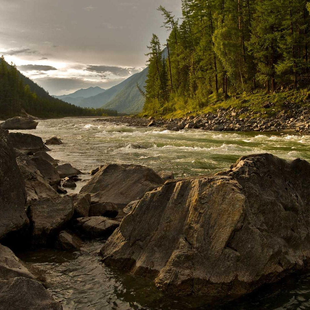 particlePioneer (kazecktorb74493.lens) Lens social identity (.lens handle) PFP