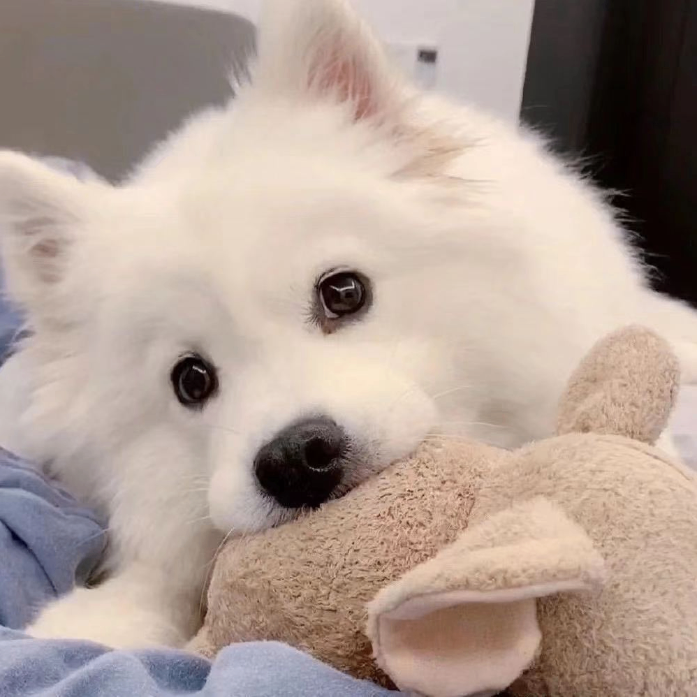 leonartd (leonartd.lens) Lens social identity (.lens handle) PFP