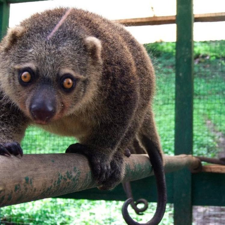 vvvvcc (jyyyyy.lens) Lens social identity (.lens handle) PFP