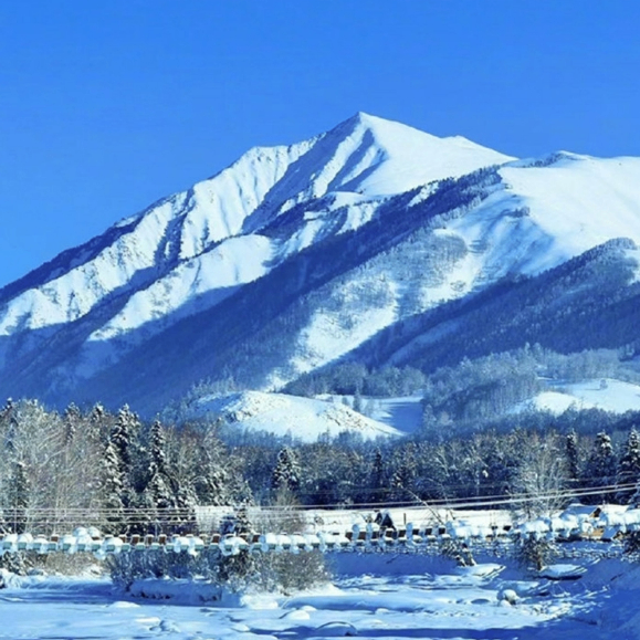 fds34d (gfg5g4.lens) Lens social identity (.lens handle) PFP