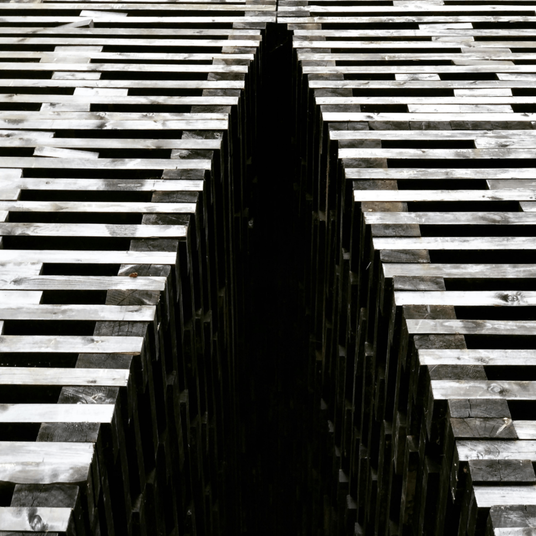 arily (arily.lens) Lens social identity (.lens handle) PFP