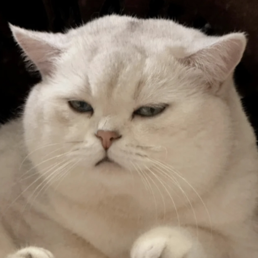 Piggy (alexiskoh31.lens) Lens social identity (.lens handle) PFP