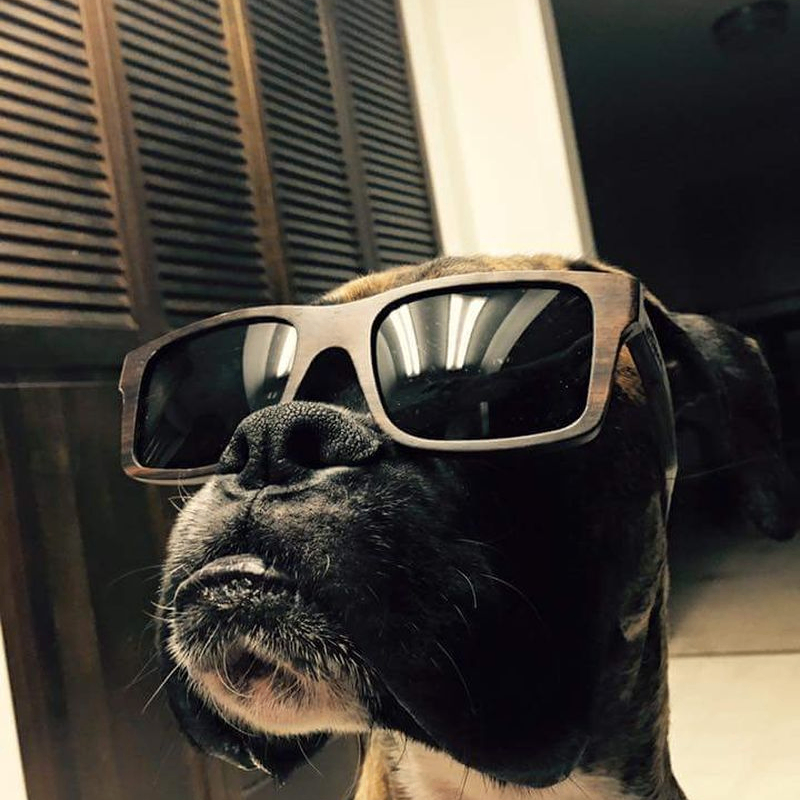 Dan (thethreebody.lens) Lens social identity (.lens handle) PFP