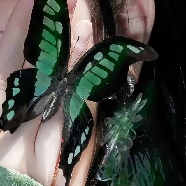 好开心 (haokaixin.lens) Lens social identity (.lens handle) PFP