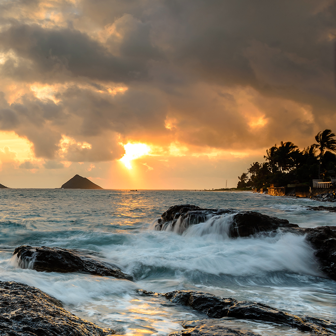 sdf (dfsdf43.lens) Lens social identity (.lens handle) PFP