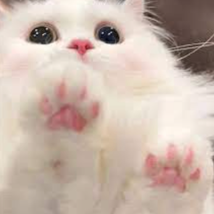 vbcvbcvbc (fttttt.lens) Lens social identity (.lens handle) PFP