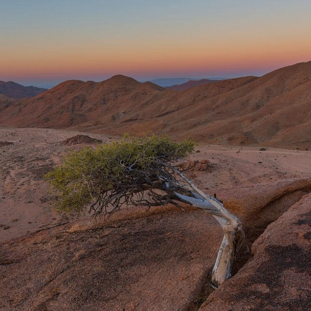 Pag Wheeler (hhhhj.lens) Lens social identity (.lens handle) PFP