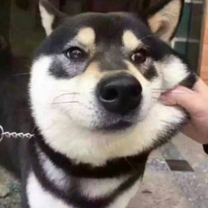 dsad (flllll.lens) Lens social identity (.lens handle) PFP